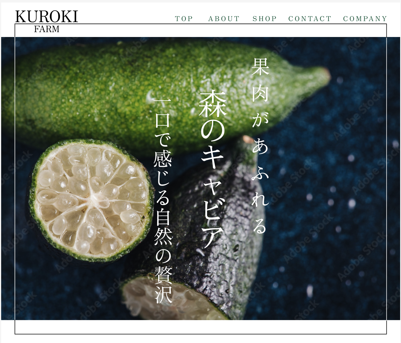 Photoshop